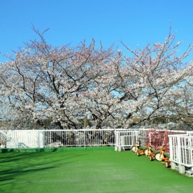 瀬谷愛児園の写真2