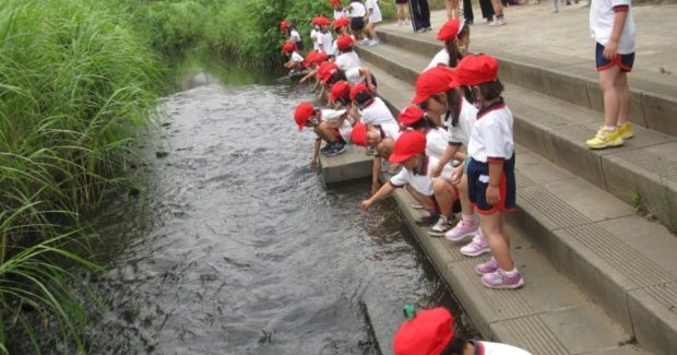 ぬくもりの森しんばし　やよい台こども園やよい台幼稚園