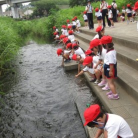 ぬくもりの森しんばし　やよい台こども園やよい台幼稚園の写真2