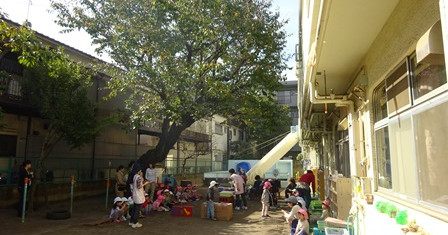 品川区立小山台保育園