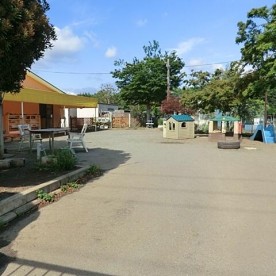 よつば体育幼児園