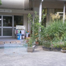興文幼稚園