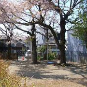 給田保育園の写真2