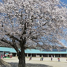 桔梗幼児園