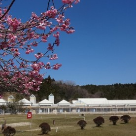 山岡こども園