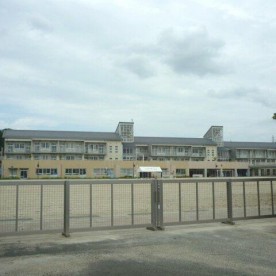 泉小学校附属幼稚園の写真2