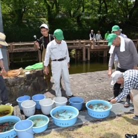 ときつこども園の写真2