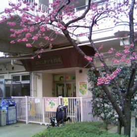 ゆりの木保育園