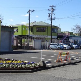 すみれ楽園の写真2