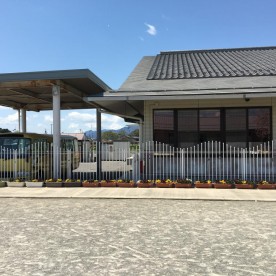 真正幼稚園