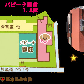 パピーナ荻窪天沼保育園の写真2