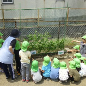 くりやがわ保育園