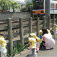 赤塚六丁目保育園の写真4