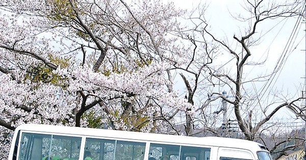 認定こども園宮古泉幼稚園