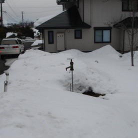 湯本保育園の写真1