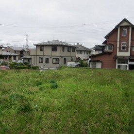 ひまわり保育園