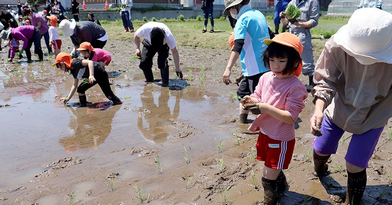 認定龍澤寺こども園