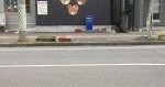 こぐま保育園