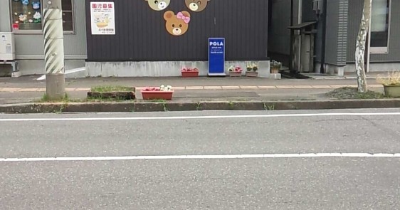 こぐま保育園
