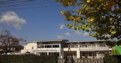 カトリック清心幼稚園