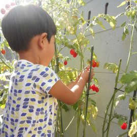 堀切保育園の写真5