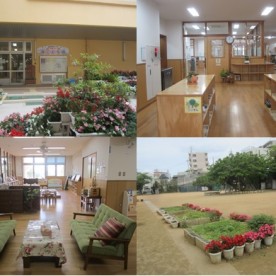 那覇市立泊こども園