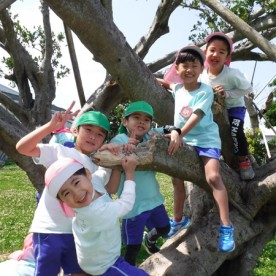 幼保連携型認定こども園　美ら夢の写真3