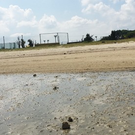 風のうた保育園（分園）の写真2