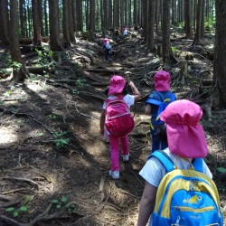 よしの保育園の写真2