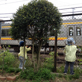 西国立保育園分園の写真5