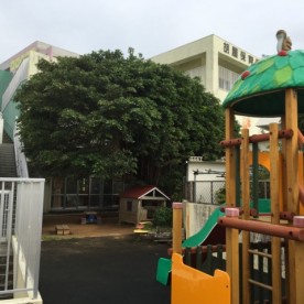 胡屋保育園
