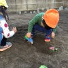 光の森保育園の写真2
