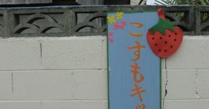 こすもキッズ小規模保育園①