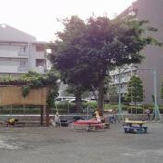 第一保育園の写真4