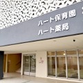 ハート保育園の写真2