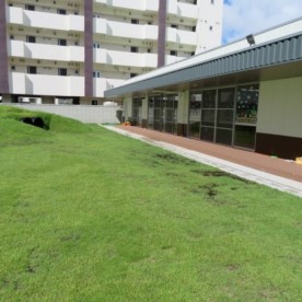 大芽保育園分園　大地