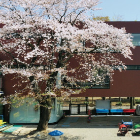 聖光緑が丘保育園