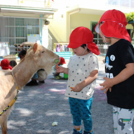 田無北原保育園
