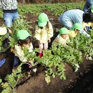 育成会ひまわり保育園