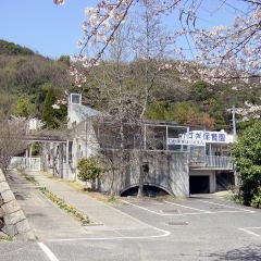若杉保育園