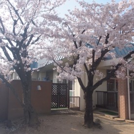 わかば保育園