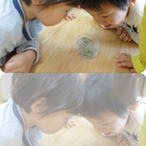 うめのき保育園の写真2
