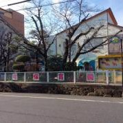 田町保育園の写真2