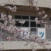 井原市立大江幼稚園