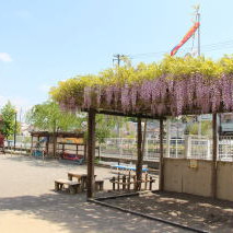 高ケ坂ふたば保育園の写真3