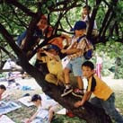 清瀬市立第３保育園の写真2