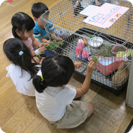 千川保育園の写真5