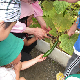 昭栄保育園の写真4