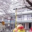柊幼稚園
