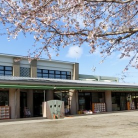 ときわ保育園の写真2